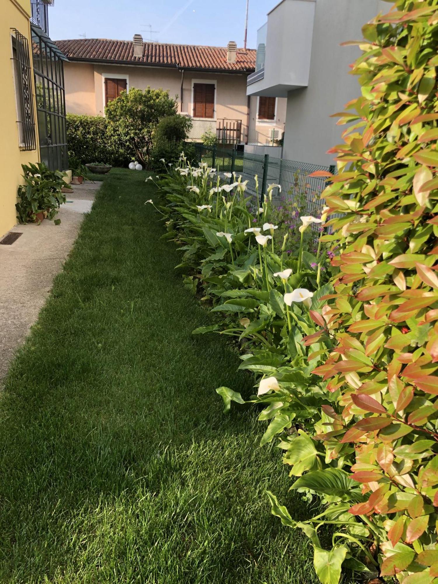 Casa Sivori Sul Lago Di Garda Con Ampio Giardino Desenzano del Garda Exterior photo